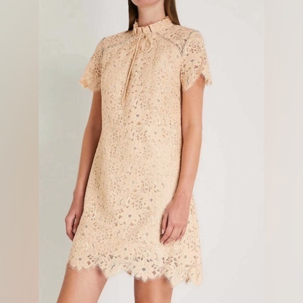 Sandro Paris Antilope Lace Rhinestone Sheath Mini Dress in Peach size 40